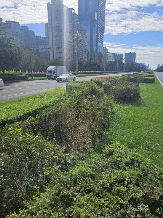 小米汽车失控起火司机遇难<strong></p>
<p>DAI</strong>，目击者称车速150km/h，实探事故地：燃烧留下的印记仍在