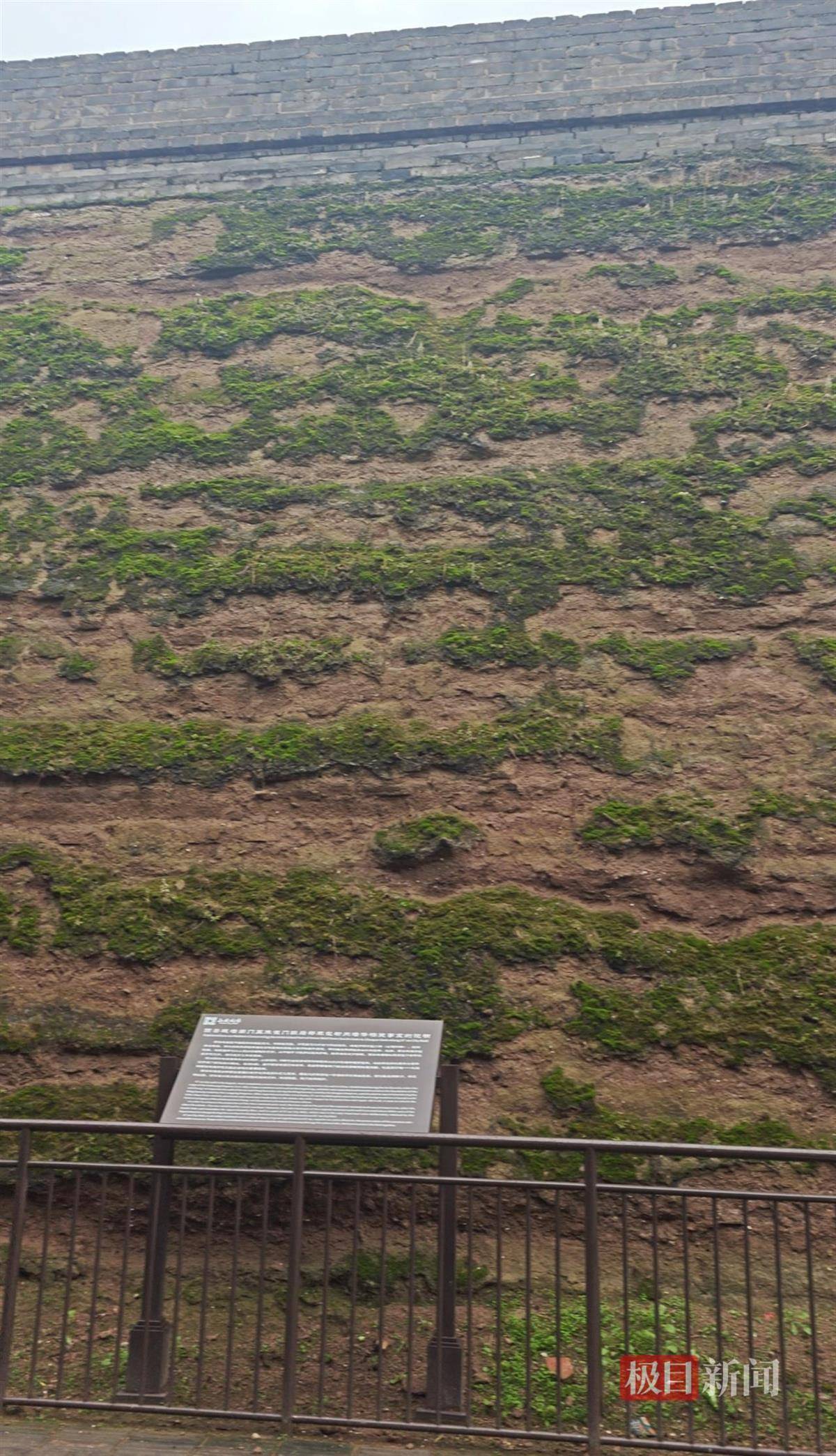 西安连续一个多月降雨遍地长蘑菇<strong></p>
<p>DAI</strong>，大雁塔受潮，城墙布满青苔，气象局解释成因