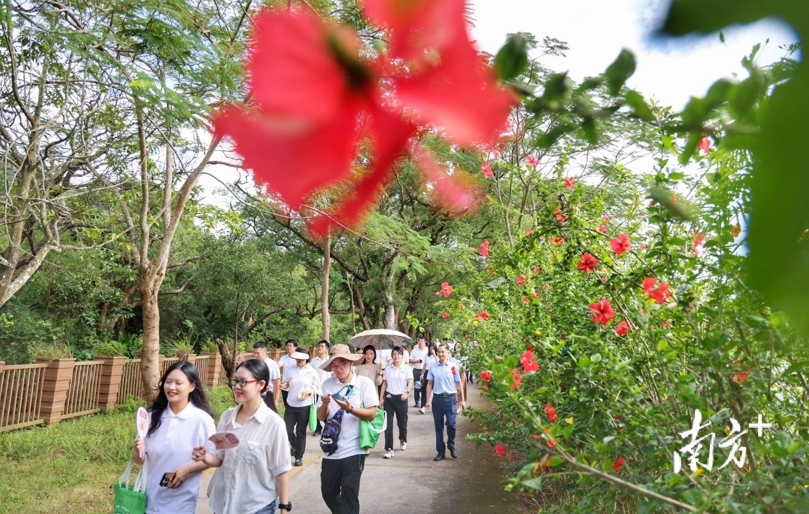 中山城建集团“连心桥”移交<strong></p>
<p>DAI</strong>，村企共建绘就桂南新画卷