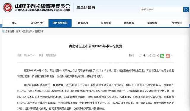 3323亿营收、1065亿海外收入<strong></p>
<p>dot</strong>!青岛上市公司的进击之路