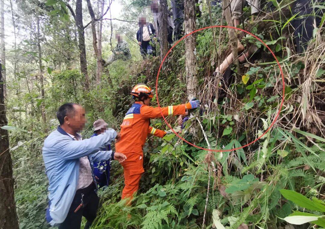 93岁老人进山失联<strong></p>
<p>fil币价格今日行情</strong>，两天后发现他倒挂在树杈上苦撑……