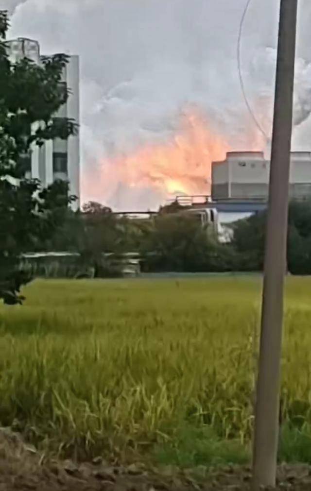 澄星股份工厂发生火灾？附近酒店：已灭火<strong></p>
<p>fil今日行情</strong>，有刺激性气味，建议不开窗