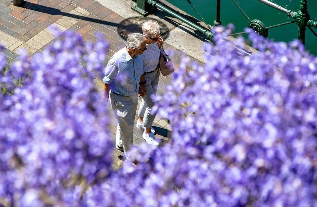 别说自己老了<strong></p>
<p>fil今日行情</strong>，大脑功能或60岁时达巅峰