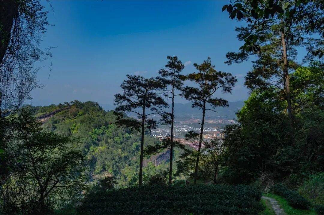 为什么年轻人迷上了爬山？ | 秋高气爽<strong></p>
<p>fil价格</strong>，是时候出发了→