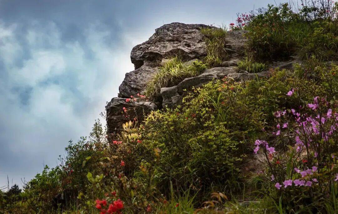 为什么年轻人迷上了爬山？ | 秋高气爽<strong></p>
<p>fil价格</strong>，是时候出发了→