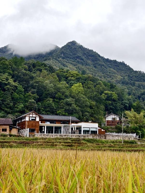 推窗见梯田<strong></p>
<p>fil价格</strong>！梧桐山民宿：把日子过成诗