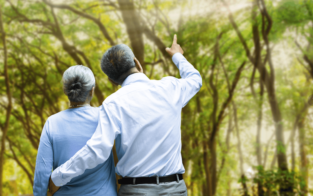 敬老月护“钱袋子”丨远离非法金融<strong></p>
<p>fil价格</strong>，守住幸福晚年