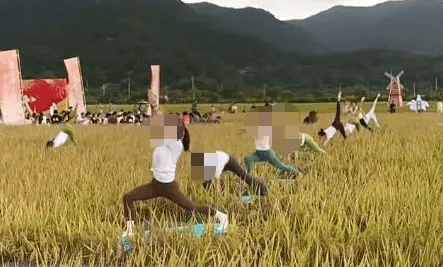 媒体：稻田开镰仪式<strong></p>
<p>fil价格</strong>，表演哪门子瑜伽？