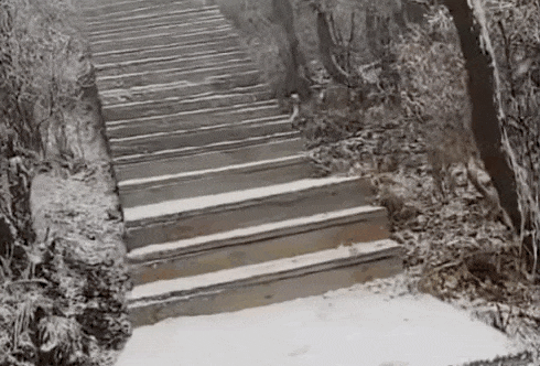 石家庄下雪了<strong></p>
<p>fil币价格</strong>！河北雨雪上线！新一股冷空气在路上……