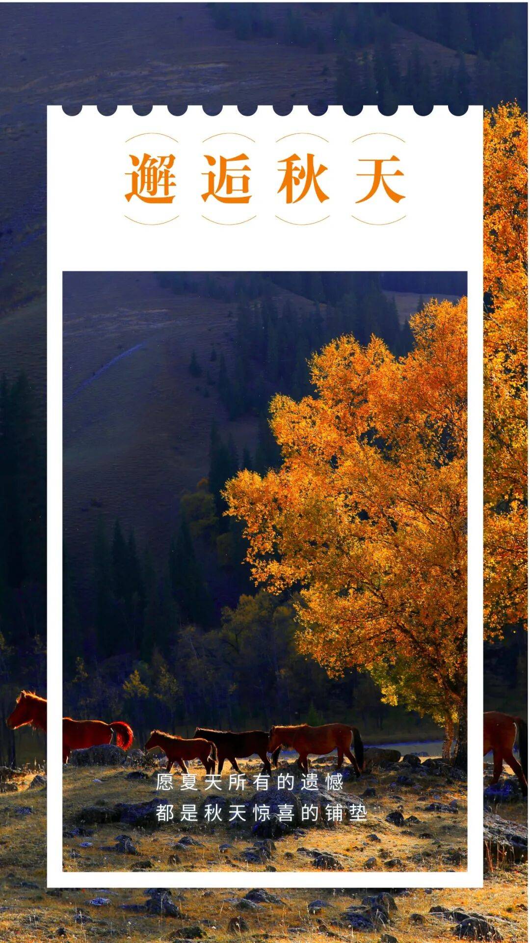 邂逅博州的秋天<strong></p>
<p>fil币价格</strong>，从从容容游刃有余