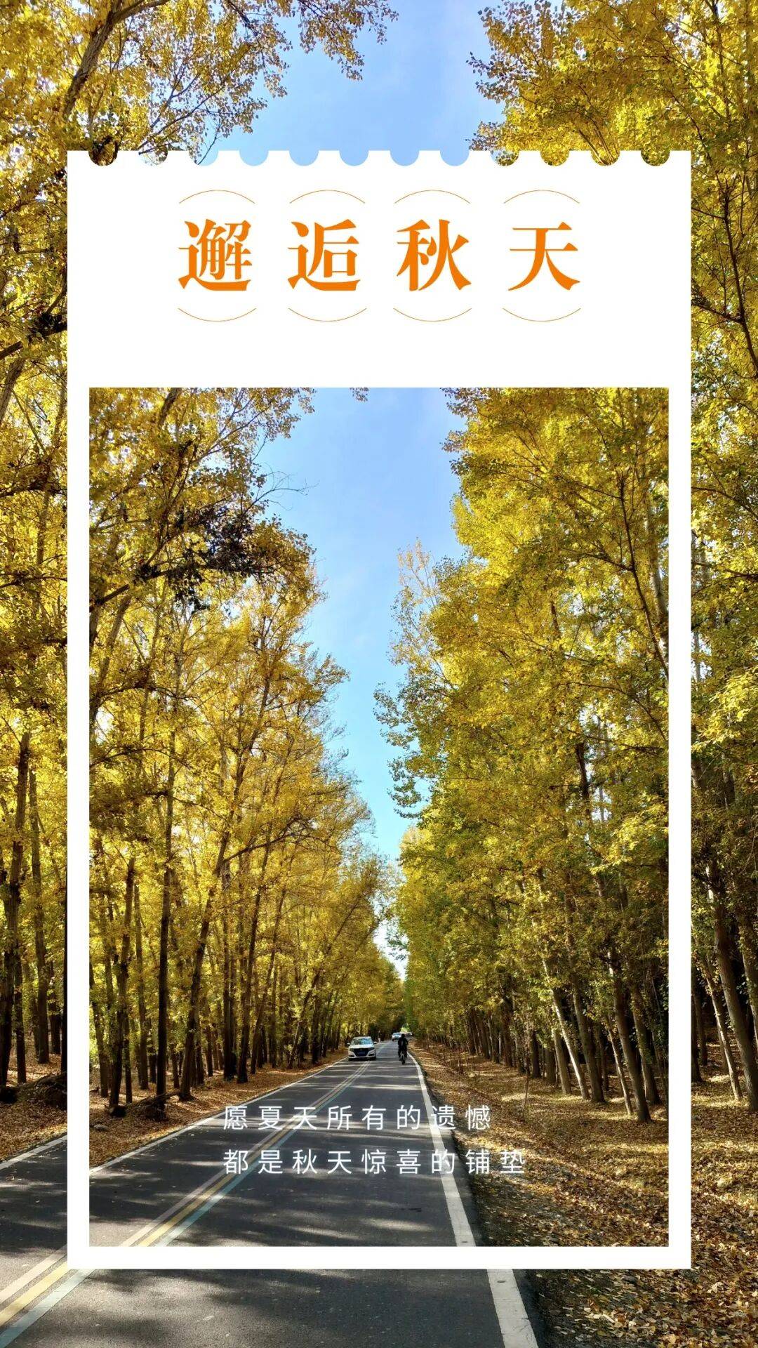 邂逅博州的秋天<strong></p>
<p>fil币价格</strong>，从从容容游刃有余