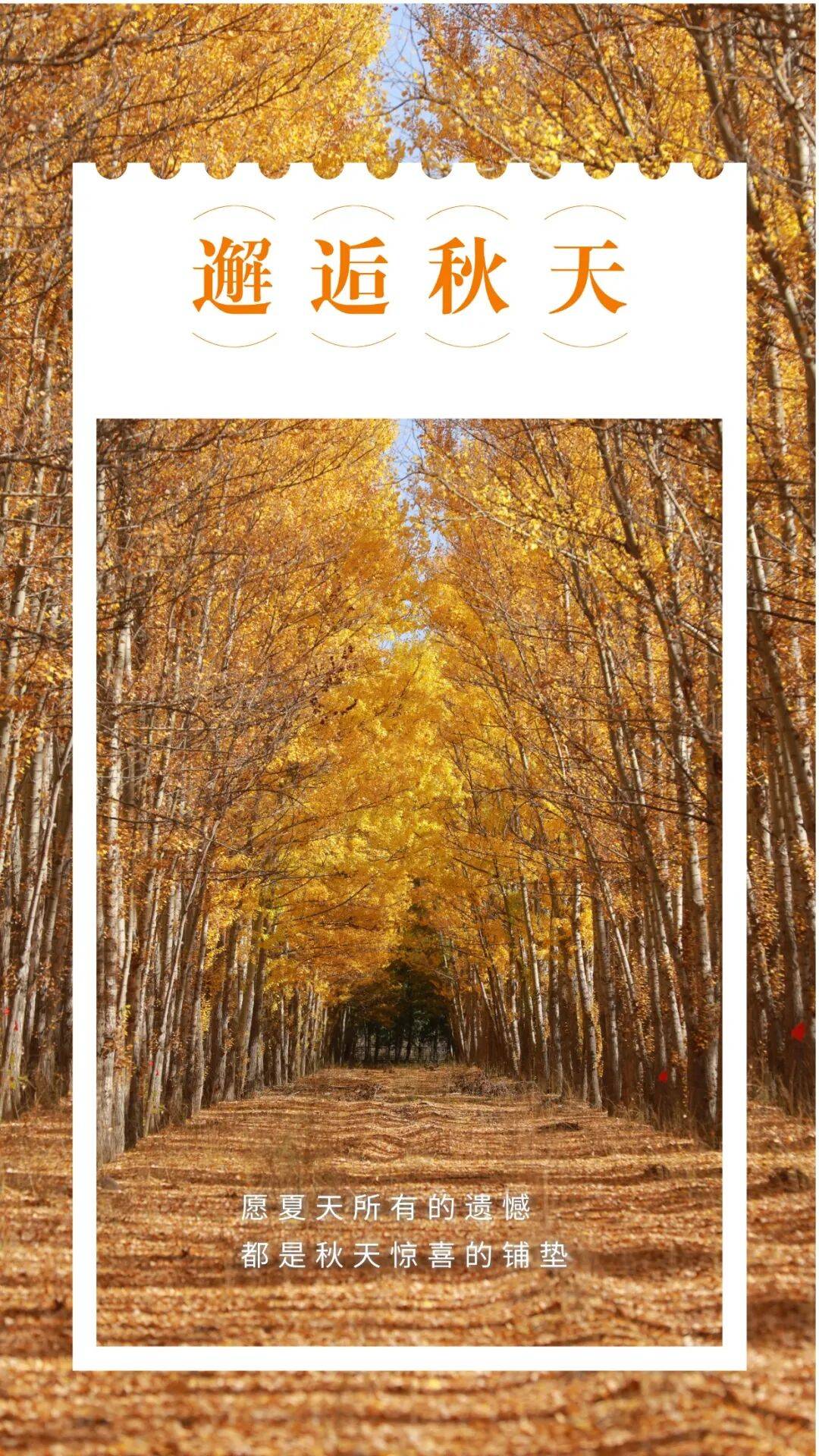 邂逅博州的秋天<strong></p>
<p>fil币价格</strong>，从从容容游刃有余