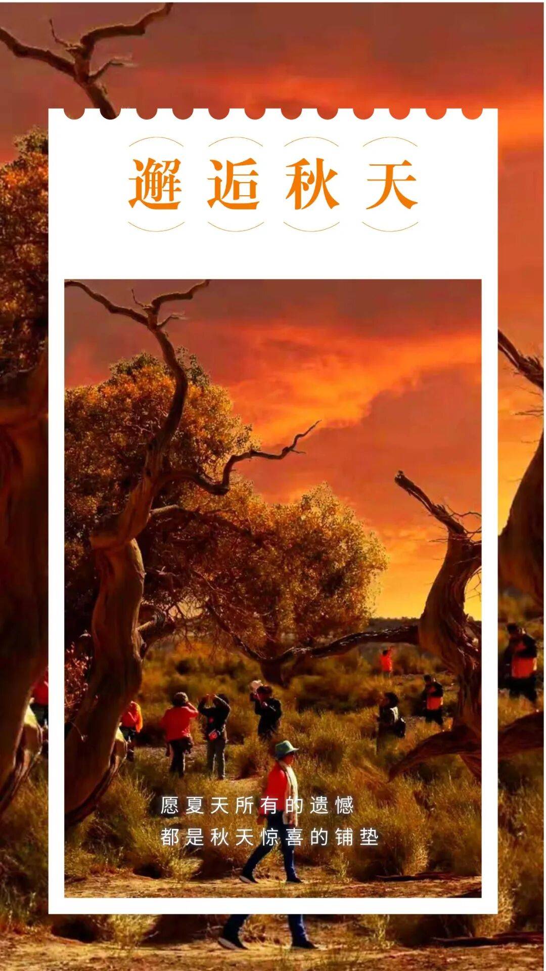 邂逅博州的秋天<strong></p>
<p>fil币价格</strong>，从从容容游刃有余