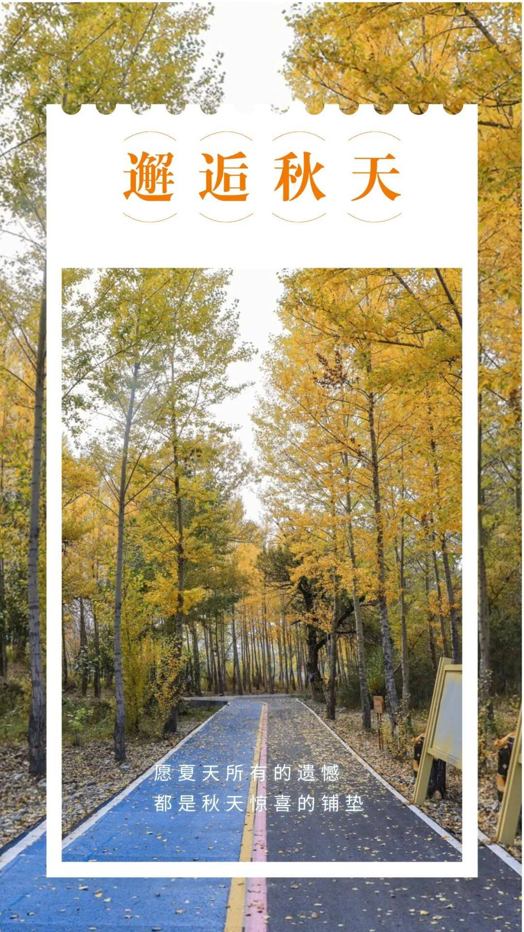 邂逅博州的秋天<strong></p>
<p>fil币价格</strong>，从从容容游刃有余