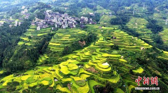 金秋<strong></p>
<p>fil币价格</strong>，广西的梯田一点不输！