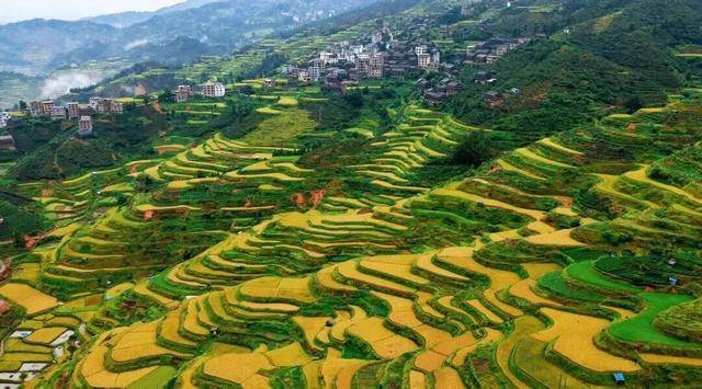 金秋<strong></p>
<p>fil币价格</strong>，广西的梯田一点不输！