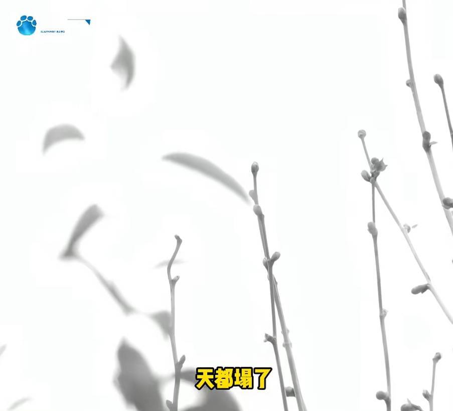 “天塌了<strong></p>
<p>fil最新消息</strong>,我一生都毁了”,男子称养了20年才发现儿子非亲生!前妻坚决否认