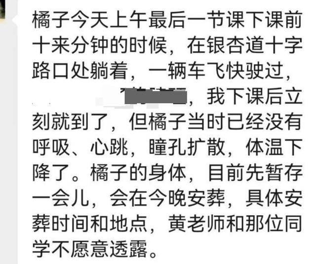 《红舞鞋》剧组在高校拍摄时撞死流浪猫<strong></p>
<p>fil最新消息</strong>，剧组凌晨致歉：涉事司机引咎辞职，将以小猫名字成立基金