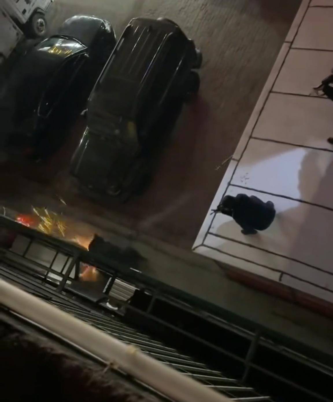 大黑熊夜里独闯黑龙江一县城闹市区<strong></p>
<p>fil最新消息</strong>，警方连开10多枪击毙，回应为何没用麻醉枪