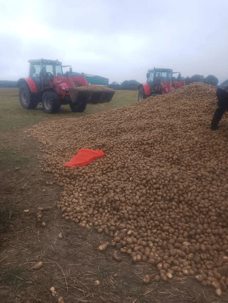 波兰68岁农民收获的150吨土豆被一夜搬空<strong></p>
<p>hbar</strong>， 只因帖子遭篡改