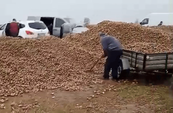 波兰68岁农民收获的150吨土豆被一夜搬空<strong></p>
<p>hbar</strong>， 只因帖子遭篡改