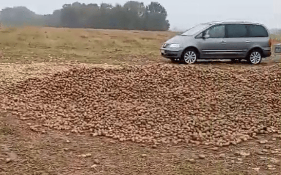 波兰68岁农民收获的150吨土豆被一夜搬空<strong></p>
<p>hbar</strong>， 只因帖子遭篡改