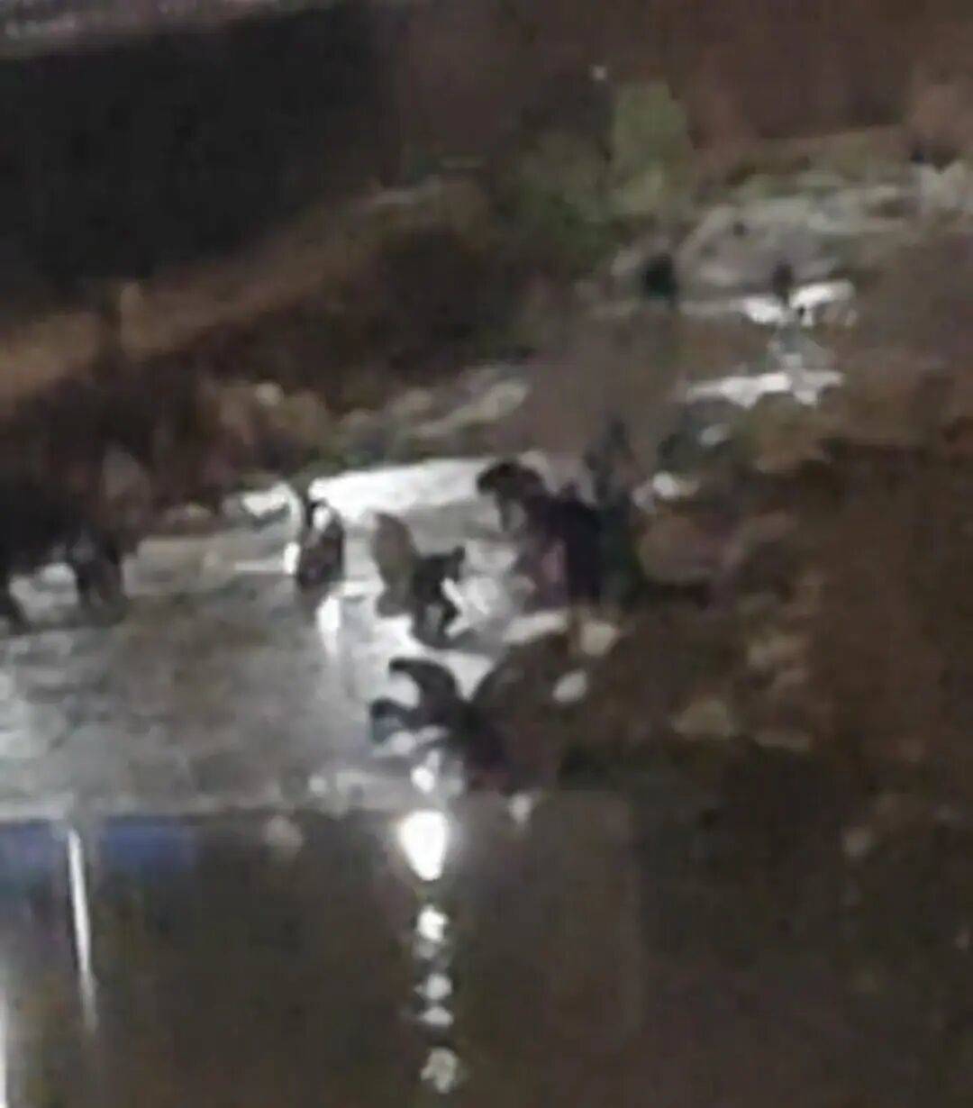 “一盆出5克多”<strong></p>
<p>TON</strong>，多人凌晨下河淘金！当地警方回应