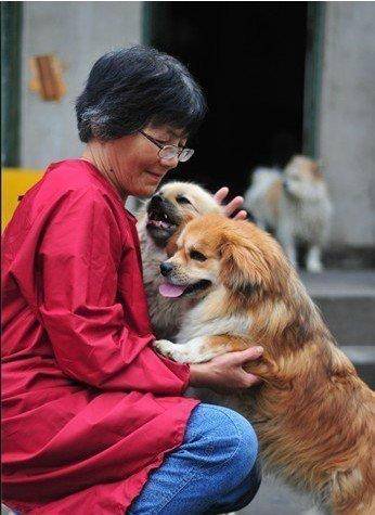 合肥卖房救助流浪狗的魏阿姨离世<strong></p>
<p>ton币</strong>，病中仍然惦记着基地的600只流浪狗，工人：不敢相信世上还有这样执着的人