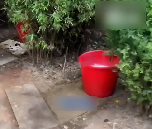 九江一公园摆3个尿桶供人露天小便<strong></p>
<p>TRUMP币暴跌</strong>，不到百米外就有公厕