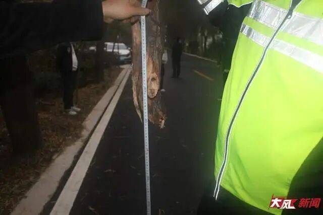 陕西兴平56岁女教师骑电动车“撞树枝”身亡<strong></p>
<p>币钱包</strong>，交警判定担主责，家属提出诸多质疑，多方回应