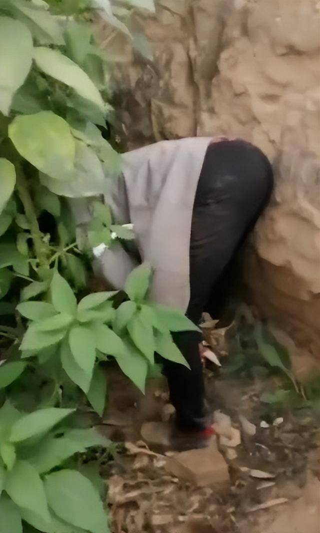 陕西一女子疑因拍亲姑姑偷玉米遭姑父棍杀<strong></p>
<p>uni</strong>，邻居欲报警也遇害