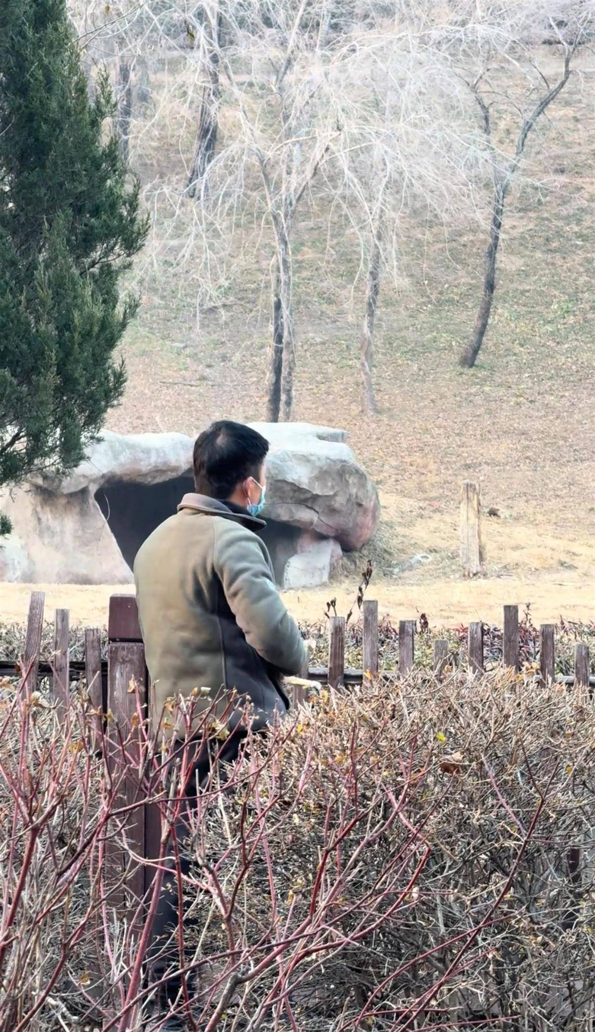 沈阳一男子动物园内用弹弓射老虎<strong></p>
<p>uni币</strong>，目击者称其“填装了弹丸”，打完后老虎爬起来了，园方：正在核实情况