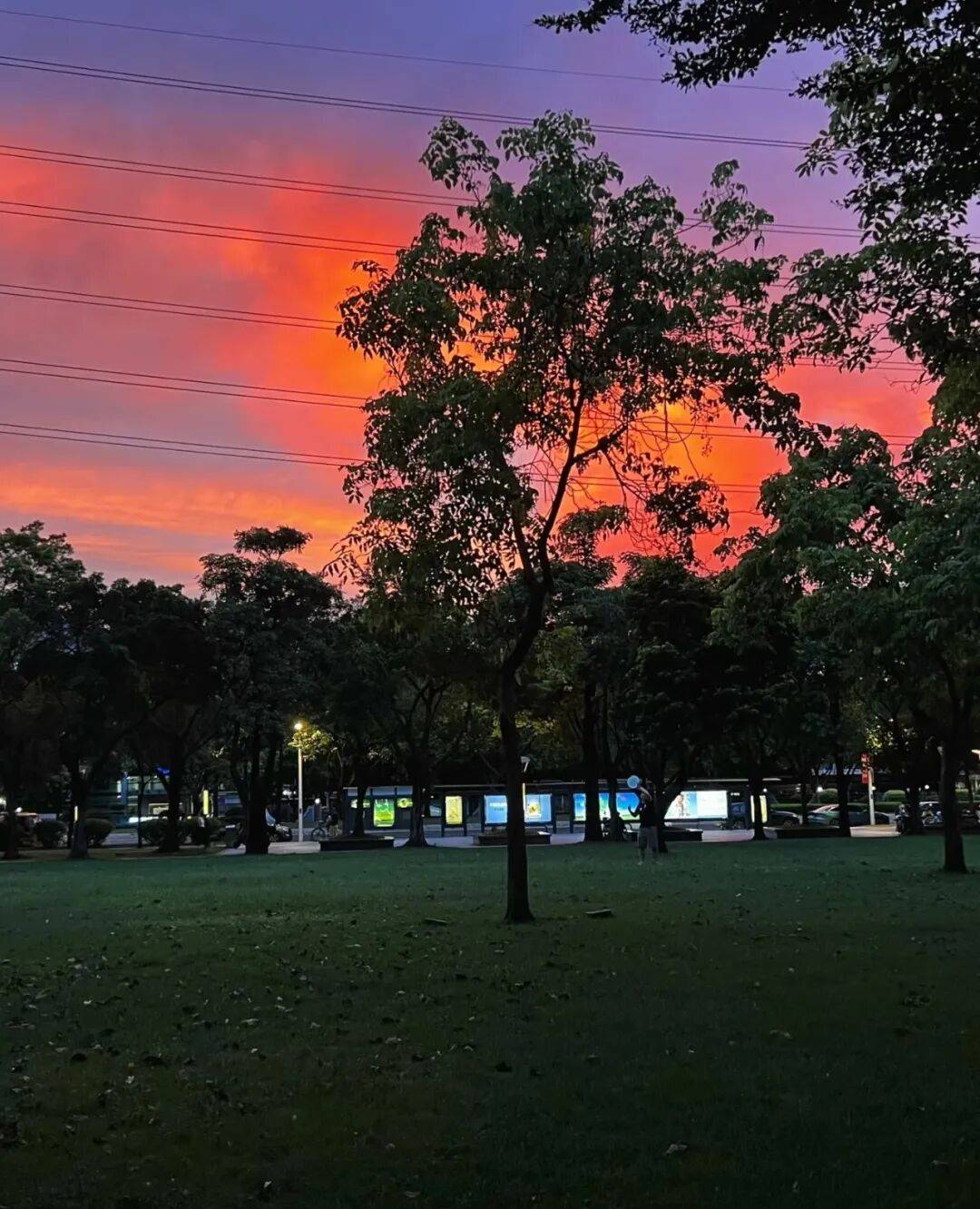 第一批丁克老后<strong></p>
<p>uni币</strong>，“伴侣能陪一程，但最后都要靠自己”