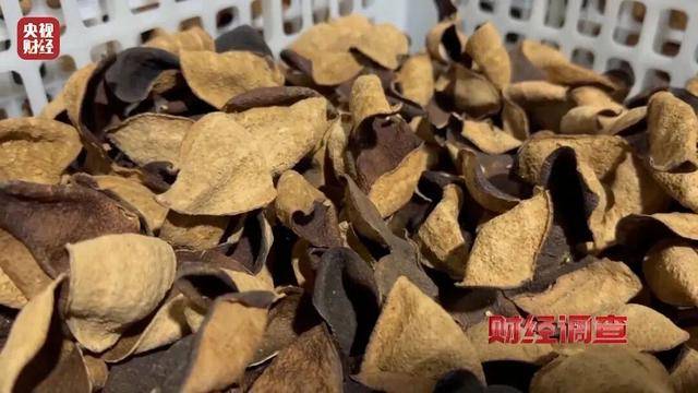 30天速成陈皮<strong></p>
<p>bitget官网地址</strong>，成本仅70元，利润超成本10倍以上！央视起底陈皮跨省造假产业链