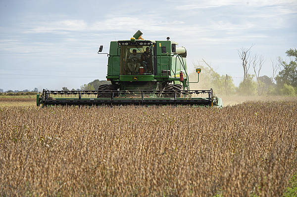 自上世纪90年代以来<strong></p>
<p>bitget官网地址</strong>，中国首次购买阿根廷小麦