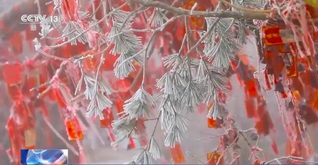 我国已经进入拉尼娜状态<strong></p>
<p>bitget官网地址</strong>,专家:可能出现冬春连旱