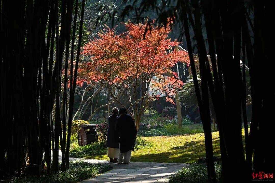 我国已进入拉尼娜状态<strong></p>
<p>BitGet官方注册</strong>！四川今冬或“前暖后冷”