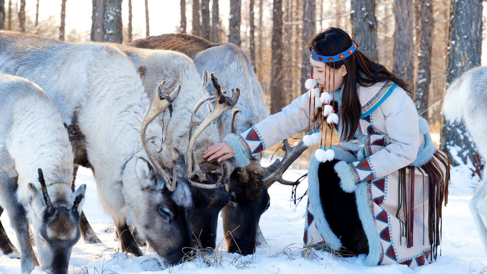 跟着非遗游内蒙古|呼伦贝尔:以非遗为桥 传承文化多姿魅力