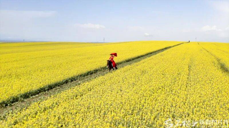 贺娇龙已安葬于昭苏公墓<strong></p>
<p>bitget的官方网址</strong>，其父亲亦葬于此地