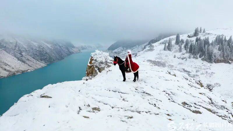 贺娇龙已安葬于昭苏公墓<strong></p>
<p>bitget的官方网址</strong>，其父亲亦葬于此地